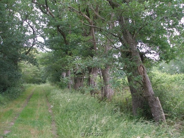 2007 05 Séjour en Brenne 042